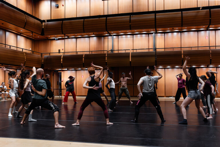 A group of diverse dancers, including performers with and without disabilities, rehearse together in a spacious wooden dance studio in Athens during the Biokinetics Workshop. The participants move in unison, exploring expressive movement and body awareness under the guidance of the artistic director.